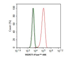 Invitrogen WDR77 Recombinant Rabbit Monoclonal Antibody (PSH0-07) 100 &mu;L;