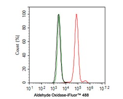 Invitrogen AOX1 Recombinant Rabbit Monoclonal Antibody (PSH0-17) 100 &mu;L;