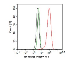 Invitrogen NFkB p65 Recombinant Rabbit Monoclonal Antibody (PSH0-27) 100 &mu;L | Buy Online | Invitrogen&trade; | Fisher Scientific