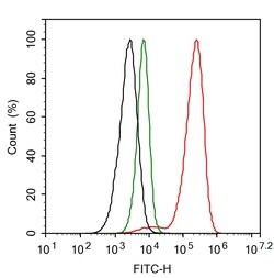 Invitrogen RNF146 Recombinant Rabbit Monoclonal Antibody (PSH0-29) 100