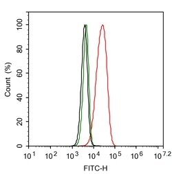 Invitrogen GPD2 Recombinant Rabbit Monoclonal Antibody (PSH0-31) 100 &mu;L;