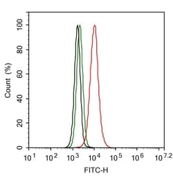 Invitrogen SIRP alpha Recombinant Rabbit Monoclonal Antibody (JE36-20)