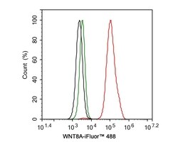 Invitrogen WNT8A Recombinant Rabbit Monoclonal Antibody (PSH0-39) 100 &mu;L;