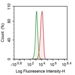 Invitrogen HDAC1 Monoclonal Antibody (E31), Invitrogen 200 &mu;L; Unconjugated:Anticuerpos