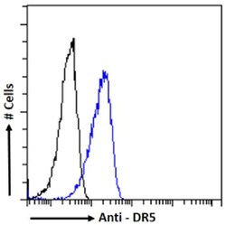 Invitrogen&trade;&nbsp;TRAIL-R2 (DR5) Chimeric Recombinant Rabbit Monoclonal Antibody (304)