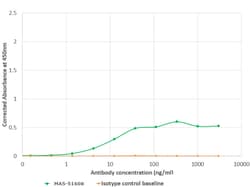 Invitrogen&trade;&nbsp;Cytomegalovirus gH Late Antigen Chimeric Recombinant Rabbit Monoclonal Antibody (HCMV16)