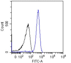 Invitrogen p53 Chimeric Recombinant Rabbit Monoclonal Antibody (PAb421)