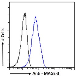 Invitrogen MAGEA3 Chimeric Recombinant Rabbit Monoclonal Antibody (21B4) 200 &mu;g | Buy Online | Invitrogen&trade; | Fisher Scientific