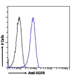 Invitrogen Zalutumumab Chimeric Recombinant Rabbit Monoclonal Antibody (2F8 (Zalutumumab; HuMax-EGFR)) 200 &mu;g | Buy Online | Invitrogen&trade; | Fisher Scientific