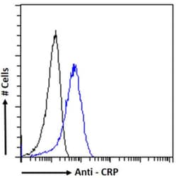 Invitrogen CRP Chimeric Recombinant Rabbit Monoclonal Antibody (P20) 200