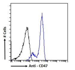 Invitrogen CD47 Chimeric Recombinant Rabbit Monoclonal Antibody (ZF1) 200