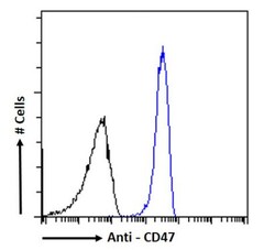 Invitrogen CD47 Chimeric Recombinant Rabbit Monoclonal Antibody (h4C1)