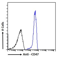 Invitrogen CD47 Chimeric Recombinant Rabbit Monoclonal Antibody (B6H12)