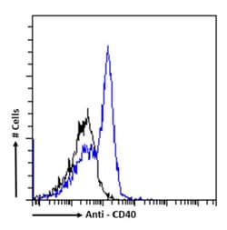 Invitrogen CD40 Chimeric Recombinant Rabbit Monoclonal Antibody (FGK45) 200 &mu;g | Buy Online | Invitrogen&trade; | Fisher Scientific