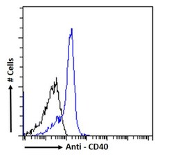 Invitrogen CD40 Chimeric Recombinant Mouse Monoclonal Antibody (1C10) 200 &mu;g | Buy Online | Invitrogen&trade; | Fisher Scientific