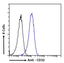 Invitrogen CD32 Chimeric Recombinant Rabbit Monoclonal Antibody (IV.3)