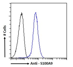 Invitrogen S100A9 Recombinant Mouse Monoclonal Antibody (IID4B10) 200 &mu;g | Buy Online | Invitrogen&trade; | Fisher Scientific