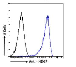 HDGF Recombinant Mouse Monoclonal Antibody (H3) 200 &mu;g | Buy Online | Fisher Chemical | Fisher Scientific