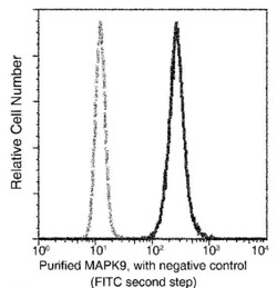 Invitrogen JNK2 Monoclonal Antibody (06) 100 &mu;L | Buy Online | Invitrogen&trade; | Fisher Scientific