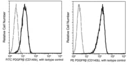 Invitrogen PDGFRB Recombinant Rabbit Monoclonal Antibody (206), PE, Invitrogen:Antibodies:Primary