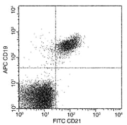 Invitrogen CD21 Recombinant Rabbit Monoclonal Antibody (257), FITC, Invitrogen