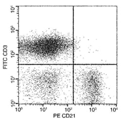 Invitrogen CD21 Recombinant Rabbit Monoclonal Antibody (257), PE, Invitrogen 100 Tests | Buy Online | Invitrogen&trade; | Fisher Scientific