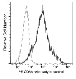 Invitrogen CD86 Recombinant Rabbit Monoclonal Antibody (313), PE, Invitrogen:Antibodies:Primary
