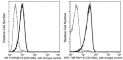 Invitrogen TNFR2 Recombinant Rabbit Monoclonal Antibody (112), PE, Invitrogen
