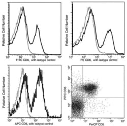 Invitrogen CD6 Recombinant Rabbit Monoclonal Antibody (021), PerCP, Invitrogen 100 Tests | Buy Online | Invitrogen&trade; | Fisher Scientific