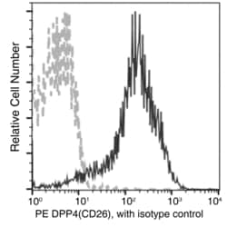 Invitrogen DPP4 Recombinant Rabbit Monoclonal Antibody (007), PE, Invitrogen:Anticuerpos:Anticuerpos