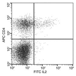 Invitrogen IL-2 Recombinant Rabbit Monoclonal Antibody (449), FITC, Invitrogen