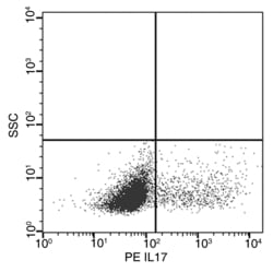 Invitrogen IL-17A Recombinant Rabbit Monoclonal Antibody (217), PE, Invitrogen