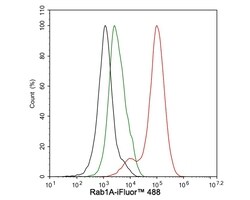 Invitrogen RAB1A Recombinant Rabbit Monoclonal Antibody (PSH03-62) 100