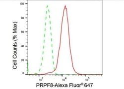 Invitrogen PRP8 Recombinant Rabbit Monoclonal Antibody (23GB1995) 20 &mu;L | Buy Online | Invitrogen&trade; | Fisher Scientific