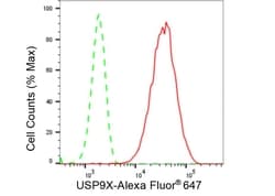 Invitrogen USP9X Recombinant Rabbit Monoclonal Antibody (23GB2000), Invitrogen