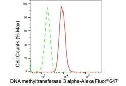 Invitrogen DNMT3A Recombinant Rabbit Monoclonal Antibody (23GB2230), Invitrogen
