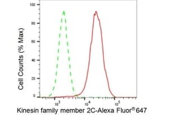 Invitrogen MCAK Recombinant Rabbit Monoclonal Antibody (23GB2730), Invitrogen