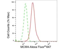 Invitrogen MCM4 Recombinant Rabbit Monoclonal Antibody (23GB2495), Invitrogen