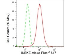 Invitrogen IKK epsilon Recombinant Rabbit Monoclonal Antibody (23GB2720) 20 &mu;L | Buy Online | Invitrogen&trade; | Fisher Scientific