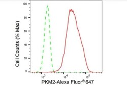 Invitrogen PKM2 Recombinant Rabbit Monoclonal Antibody (23GB2920), Invitrogen