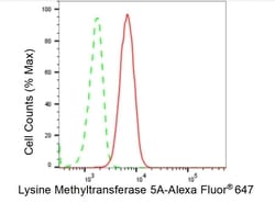 Invitrogen SETD8 Recombinant Rabbit Monoclonal Antibody (23GB2840) 20 &mu;L | Buy Online | Invitrogen&trade; | Fisher Scientific
