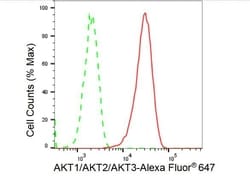 Invitrogen AKT Pan Recombinant Rabbit Monoclonal Antibody (23GB3180), Invitrogen