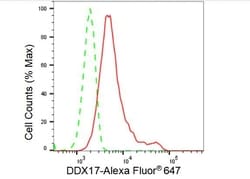 Invitrogen DDX17 Recombinant Rabbit Monoclonal Antibody (23GB3560) 20 &mu;L | Buy Online | Invitrogen&trade; | Fisher Scientific