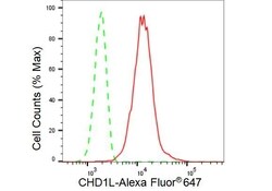 Invitrogen CHD1L Recombinant Rabbit Monoclonal Antibody (23GB3770), Invitrogen