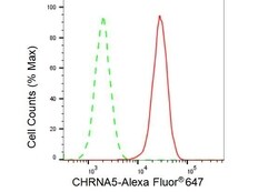 Invitrogen CHRNA5 Recombinant Rabbit Monoclonal Antibody (23GB3775) 20 &mu;L | Buy Online | Invitrogen&trade; | Fisher Scientific
