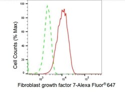 Invitrogen KGF Recombinant Rabbit Monoclonal Antibody (23GB3840), Invitrogen