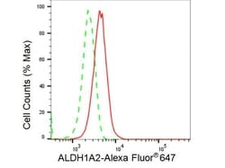 Invitrogen ALDH1A2 Recombinant Rabbit Monoclonal Antibody (23GB3640), Invitrogen