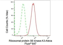 Invitrogen RSK2 Recombinant Rabbit Monoclonal Antibody (23GB1530), Invitrogen