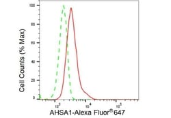 Invitrogen AHA1 Recombinant Rabbit Monoclonal Antibody (23GB3170):Antibodies:Primary