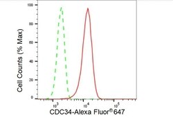 Invitrogen Cdc34 Recombinant Rabbit Monoclonal Antibody (23GB3435), Invitrogen